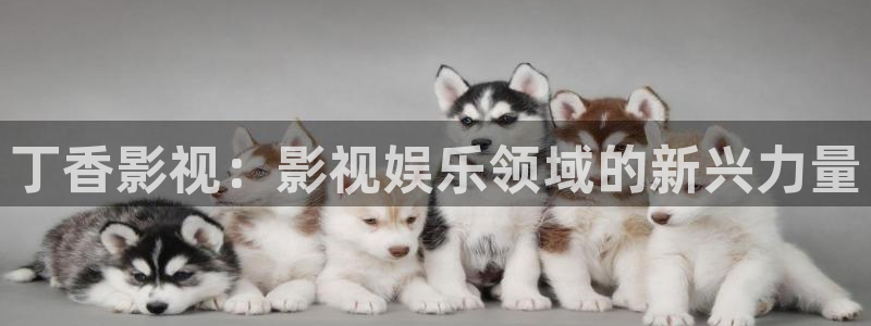 酷客影院在线播放免费：丁香影视：影视娱乐领域的新兴力量