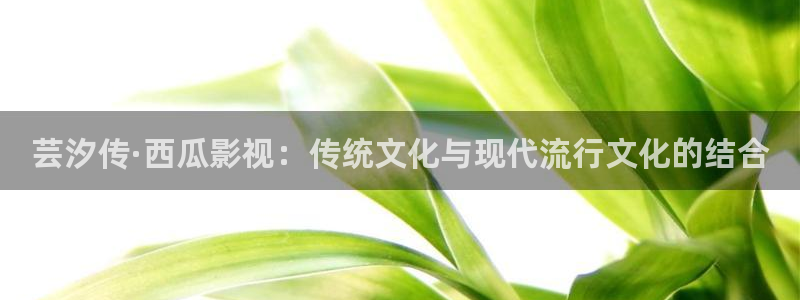 酷客手机影院在线播放