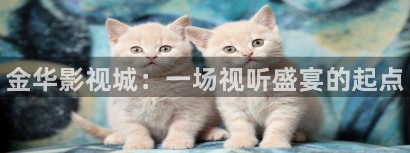 酷客影视免费观看大全：金华影视城：一场视听盛宴的起点