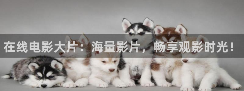 酷客影院外出三：在线电影大片：海量影片，畅享观影时光！